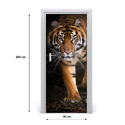 Fototapeta samoprzylepna na drzwi Tygrys