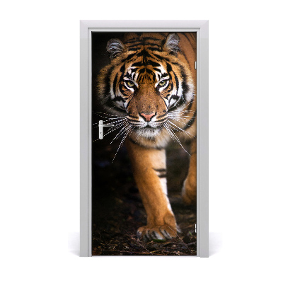 Fototapeta samoprzylepna na drzwi Tygrys
