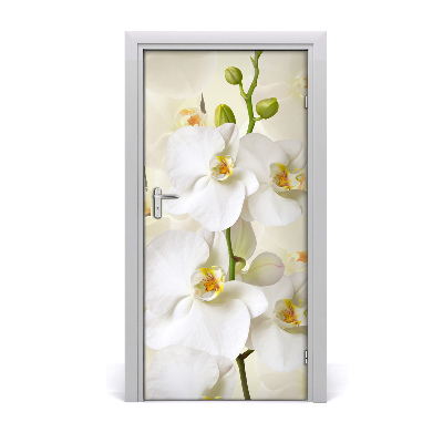 Nalepka Naklejka fototapeta na drzwi Biała orchidea