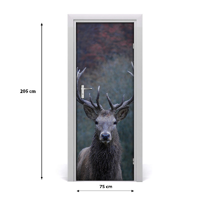 Fototapeta samoprzylepna na drzwi Jeleń przyroda