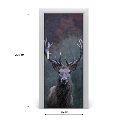 Fototapeta samoprzylepna na drzwi Jeleń przyroda