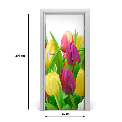 Nalepka Naklejka fototapeta na drzwi Kwiaty tulipany