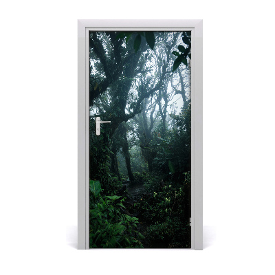 Naklejka na drzwi samoprzylepna Las deszczowy