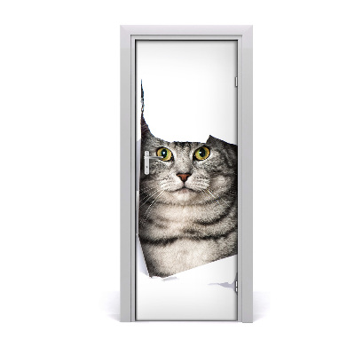 Fototapeta samoprzylepna na drzwi Kot w dziurze