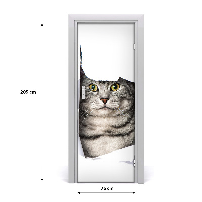 Fototapeta samoprzylepna na drzwi Kot w dziurze