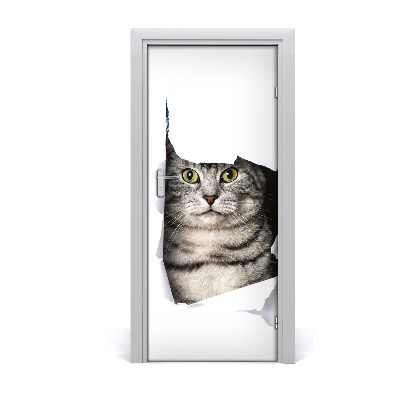 Fototapeta samoprzylepna na drzwi Kot w dziurze