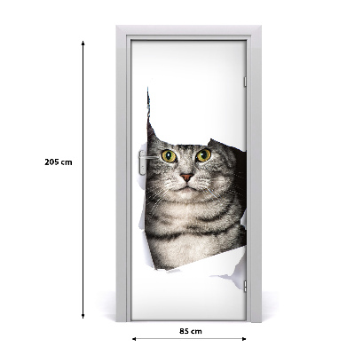 Fototapeta samoprzylepna na drzwi Kot w dziurze