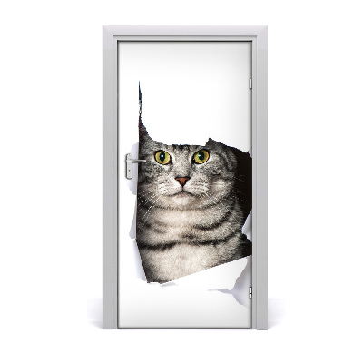 Fototapeta samoprzylepna na drzwi Kot w dziurze