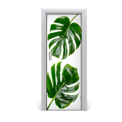 Okleina Naklejka fototapeta na drzwi Monstera