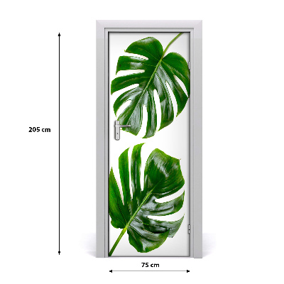 Okleina Naklejka fototapeta na drzwi Monstera
