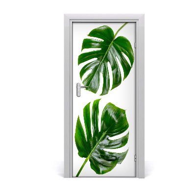 Okleina Naklejka fototapeta na drzwi Monstera
