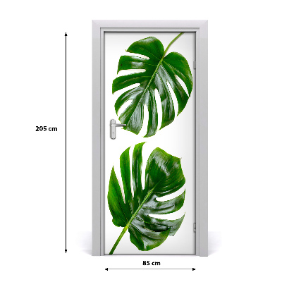 Okleina Naklejka fototapeta na drzwi Monstera