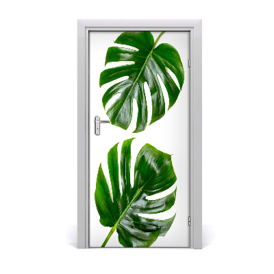 Okleina Naklejka fototapeta na drzwi Monstera