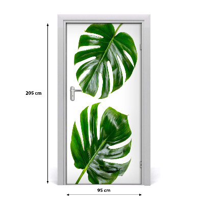 Okleina Naklejka fototapeta na drzwi Monstera