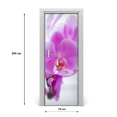 Okleina Naklejka fototapeta na drzwi Różowa orchidea