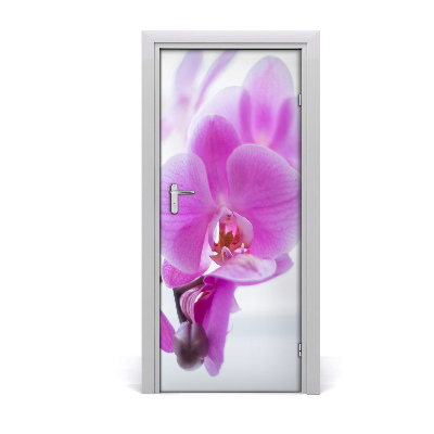 Okleina Naklejka fototapeta na drzwi Różowa orchidea