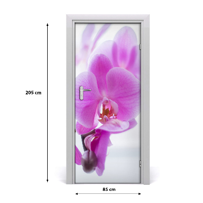 Okleina Naklejka fototapeta na drzwi Różowa orchidea