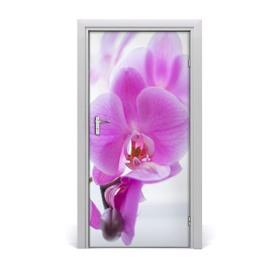 Okleina Naklejka fototapeta na drzwi Różowa orchidea