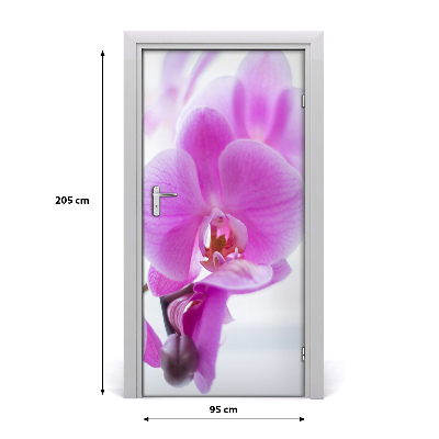 Okleina Naklejka fototapeta na drzwi Różowa orchidea
