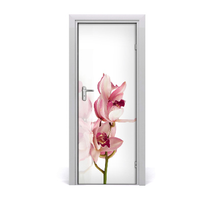 Okleina Naklejka fototapeta na drzwi Różowa orchidea