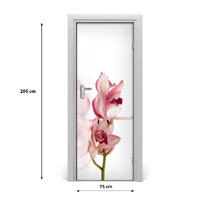 Okleina Naklejka fototapeta na drzwi Różowa orchidea