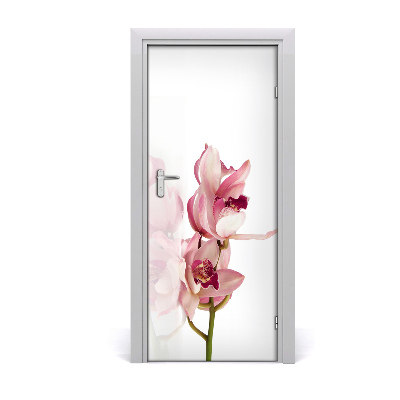 Okleina Naklejka fototapeta na drzwi Różowa orchidea
