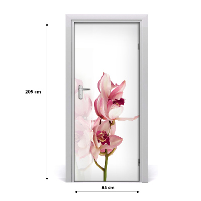 Okleina Naklejka fototapeta na drzwi Różowa orchidea