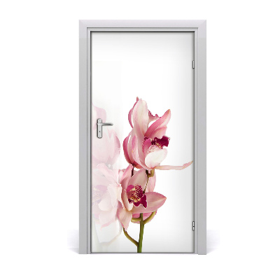 Okleina Naklejka fototapeta na drzwi Różowa orchidea