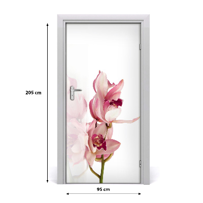 Okleina Naklejka fototapeta na drzwi Różowa orchidea