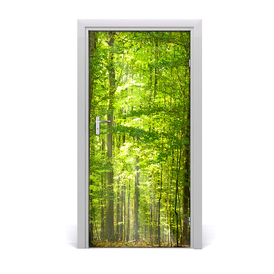 Naklejka fototapeta na drzwi Krajobrazy Las bukowy