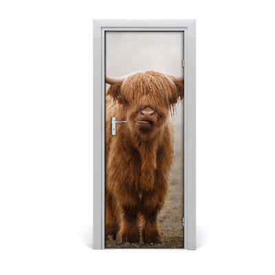 Fototapeta samoprzylepna na drzwi Krowy Wzgórza