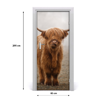 Fototapeta samoprzylepna na drzwi Krowy Wzgórza