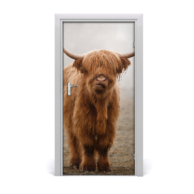 Fototapeta samoprzylepna na drzwi Krowy Wzgórza