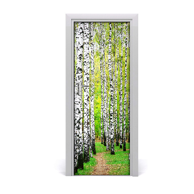 Naklejka fototapeta na drzwi Las brzozowy