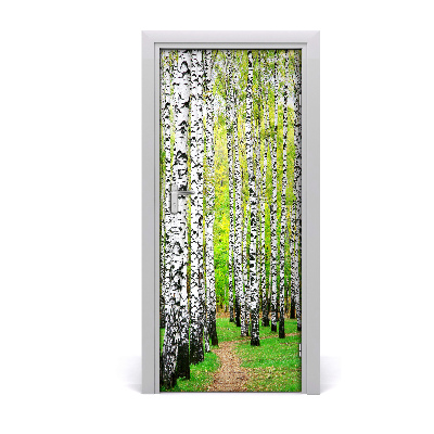 Naklejka fototapeta na drzwi Las brzozowy