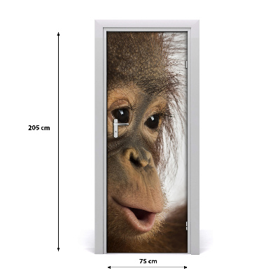 Naklejka samoprzylepna na drzwi Młody orangutan