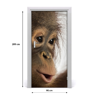 Naklejka samoprzylepna na drzwi Młody orangutan