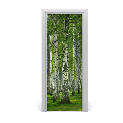 Naklejka fototapeta na drzwi Las brzozowy