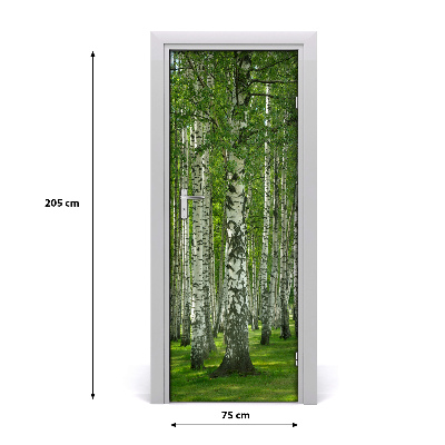 Naklejka fototapeta na drzwi Las brzozowy