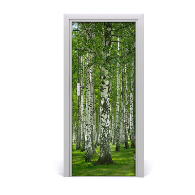 Naklejka fototapeta na drzwi Las brzozowy