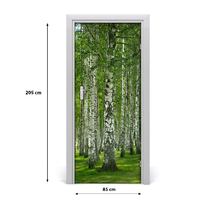 Naklejka fototapeta na drzwi Las brzozowy