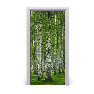 Naklejka fototapeta na drzwi Las brzozowy
