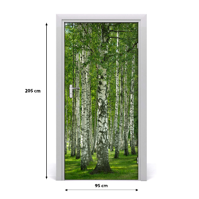 Naklejka fototapeta na drzwi Las brzozowy