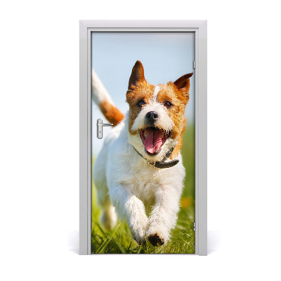 Naklejka samoprzylepna na drzwi Pies Jack Russell