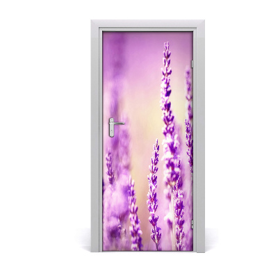 Fototapeta samoprzylepna na drzwi Lawenda