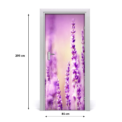 Fototapeta samoprzylepna na drzwi Lawenda