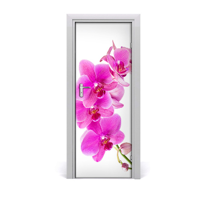 Naklejka samoprzylepna okleina Różowa orchidea