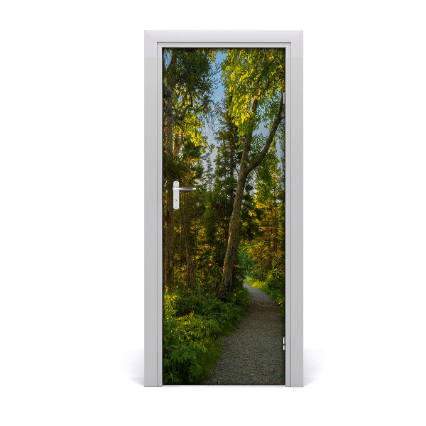 Naklejka fototapeta na drzwi Ścieżka w lesie