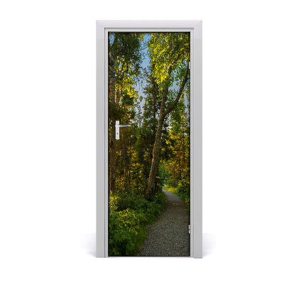 Naklejka fototapeta na drzwi Ścieżka w lesie