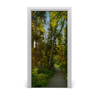 Naklejka fototapeta na drzwi Ścieżka w lesie